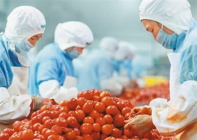 穩居第一，小小罐頭闖世界 中國農產品的全球化之路